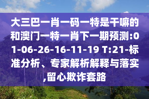 大三巴一肖一碼一特是干嘛的和澳門一特一肖下一期預測:01-06-26-16-11-19 T:21-標準分析、專家解析解釋與落實,留心欺詐套路