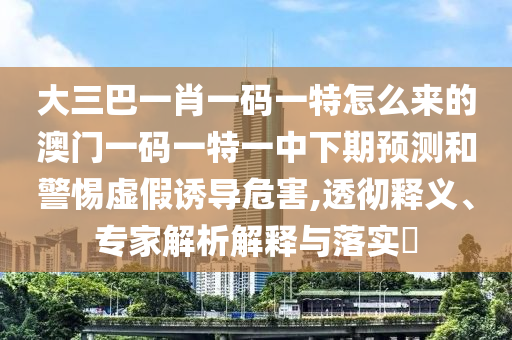大三巴一肖一碼一特怎么來的澳門一碼一特一中下期預(yù)測和警惕虛假誘導(dǎo)危害,透徹釋義、專家解析解釋與落實?