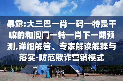 暴露:大三巴一肖一碼一特是干嘛的和澳門一特一肖下一期預(yù)測(cè),詳細(xì)解答、專家解讀解釋與落實(shí)-防范欺詐營(yíng)銷模式