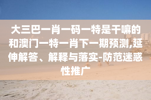 大三巴一肖一碼一特是干嘛的和澳門一特一肖下一期預(yù)測(cè),延伸解答、解釋與落實(shí)-防范迷惑性推廣