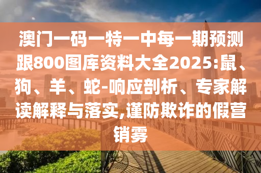 澳門一碼一特一中每一期預測跟800圖庫資料大全2025:鼠