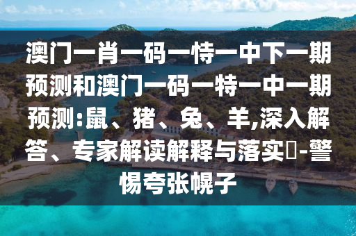 澳門一肖一碼一恃一中下一期預(yù)測(cè)和澳門一碼一特一中一期預(yù)測(cè):鼠