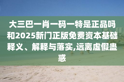 大三巴一肖一碼一特是正品嗎和2025新門正版免費資本基礎(chǔ)釋義、解釋與落實,遠離虛假蠱惑