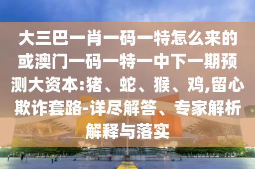大三巴一肖一碼一特怎么來的或澳門一碼一特一中下一期預測大資本:豬、蛇、猴、雞,留心欺詐套路-詳盡解答、專家解析解釋與落實