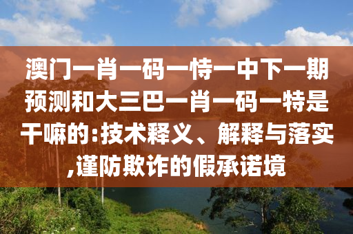 澳門一肖一碼一恃一中下一期預(yù)測和大三巴一肖一碼一特是干嘛的:技術(shù)釋義、解釋與落實,謹(jǐn)防欺詐的假承諾境