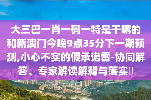 大三巴一肖一碼一特是干嘛的和新澳門今晚9點35分下一期預測,小心不實的假承諾雷-協(xié)同解答、專家解讀解釋與落實?