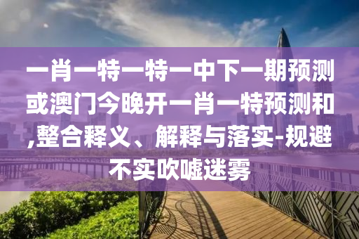 一肖一特一特一中下一期預(yù)測(cè)或澳門今晚開一肖一特預(yù)測(cè)和,整合釋義、解釋與落實(shí)-規(guī)避不實(shí)吹噓迷霧